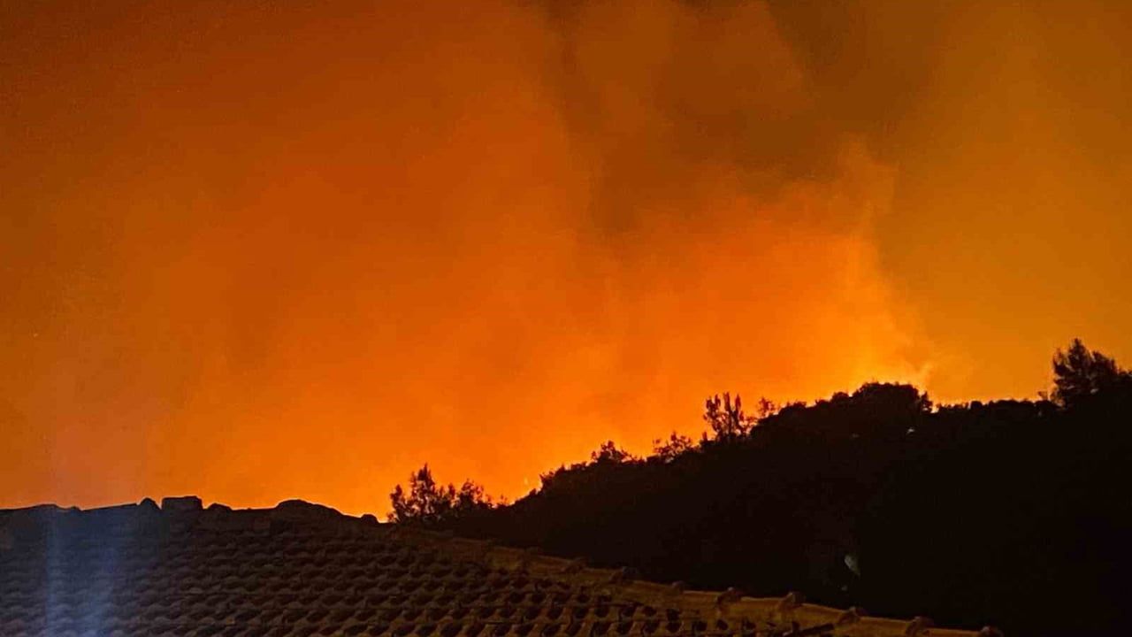 Antalya Serik'te Orman Yangını