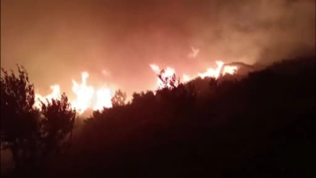 Antalya Serik'te Orman Yangını: Ekipler Müdahale Ediyor