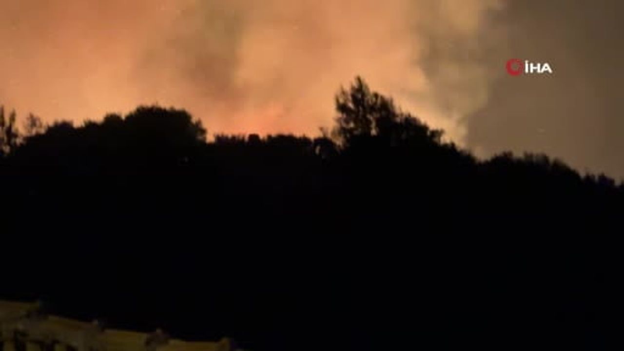 Antalya Serik’te Orman Yangını Kontrol Altına Alındı: 2 Hektar Etkilendi