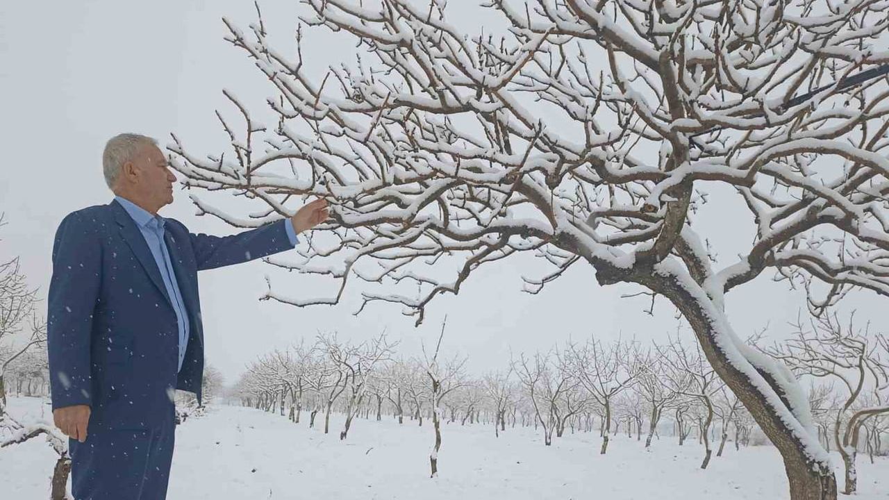 Araban’da Kar Yağışları Çiftçiye Nefes Aldırdı — Antepfıstığı ve Zeytinde Umut