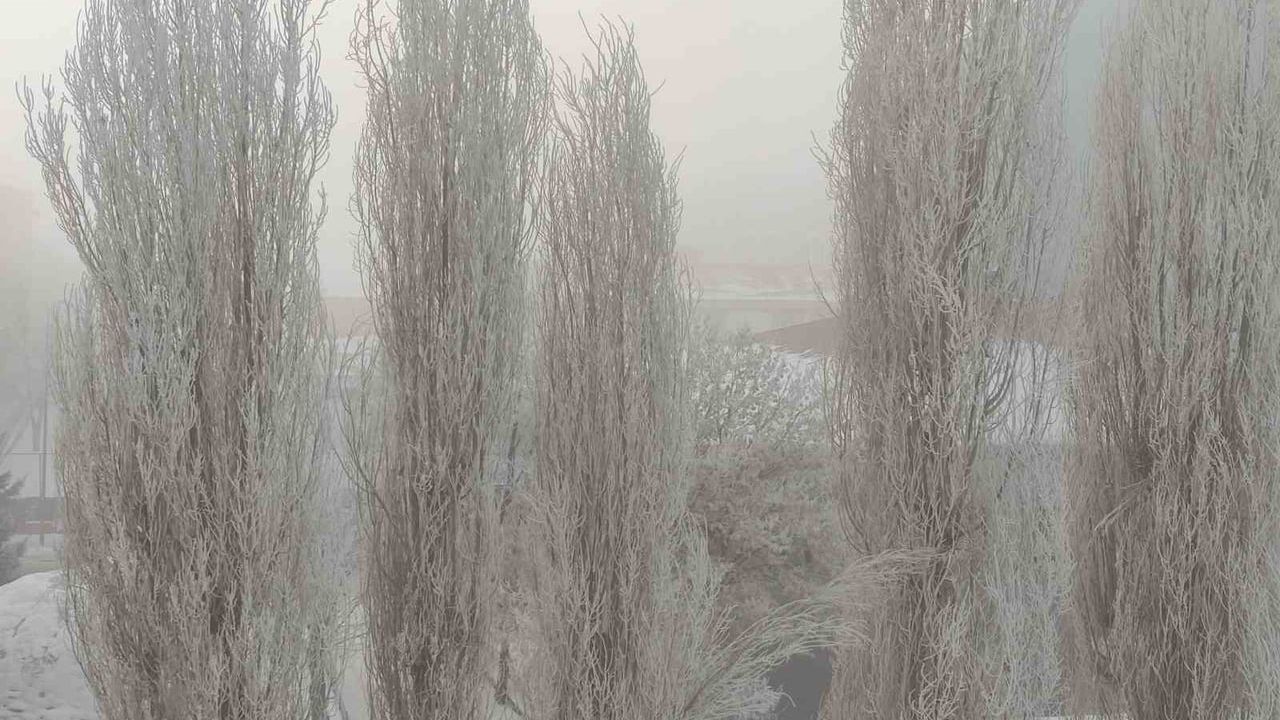 Ardahan'da Dondurucu Soğuk: Hava Eksi 25'e Düştü, Hayat Durdu