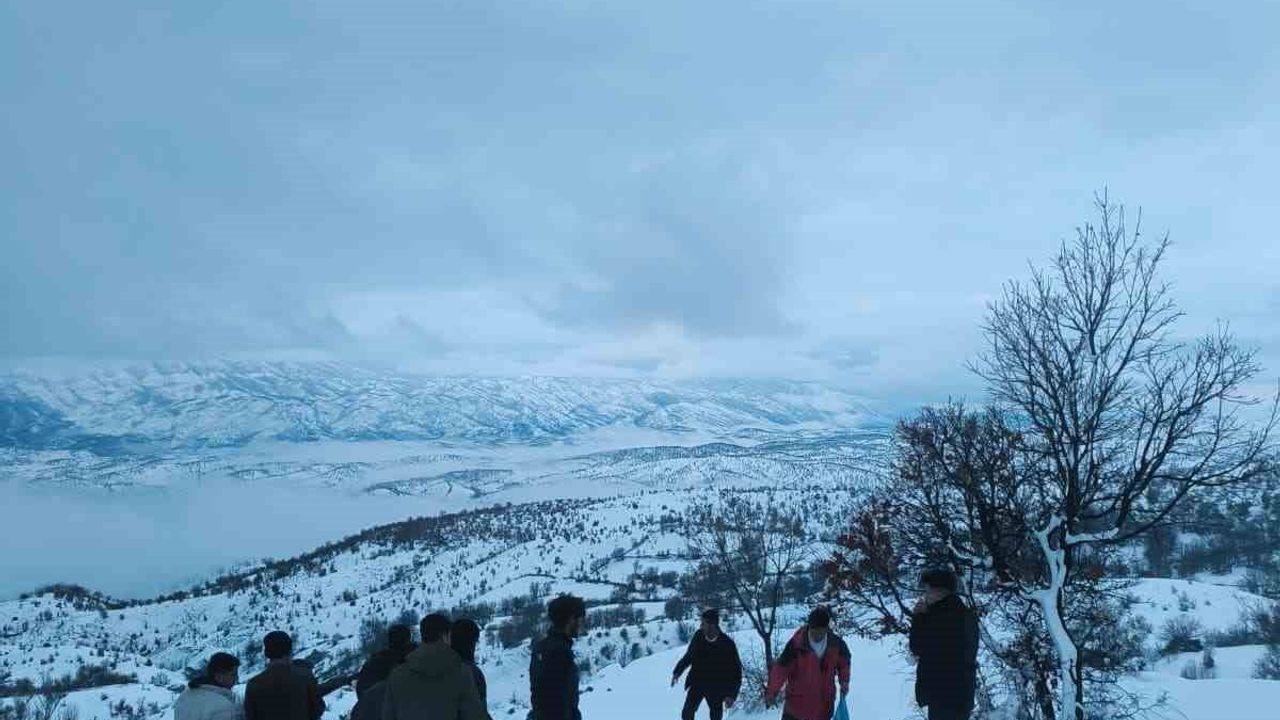Arıcak Erbağ Köyü'nde Yaban Hayvanlarına Yem Desteği