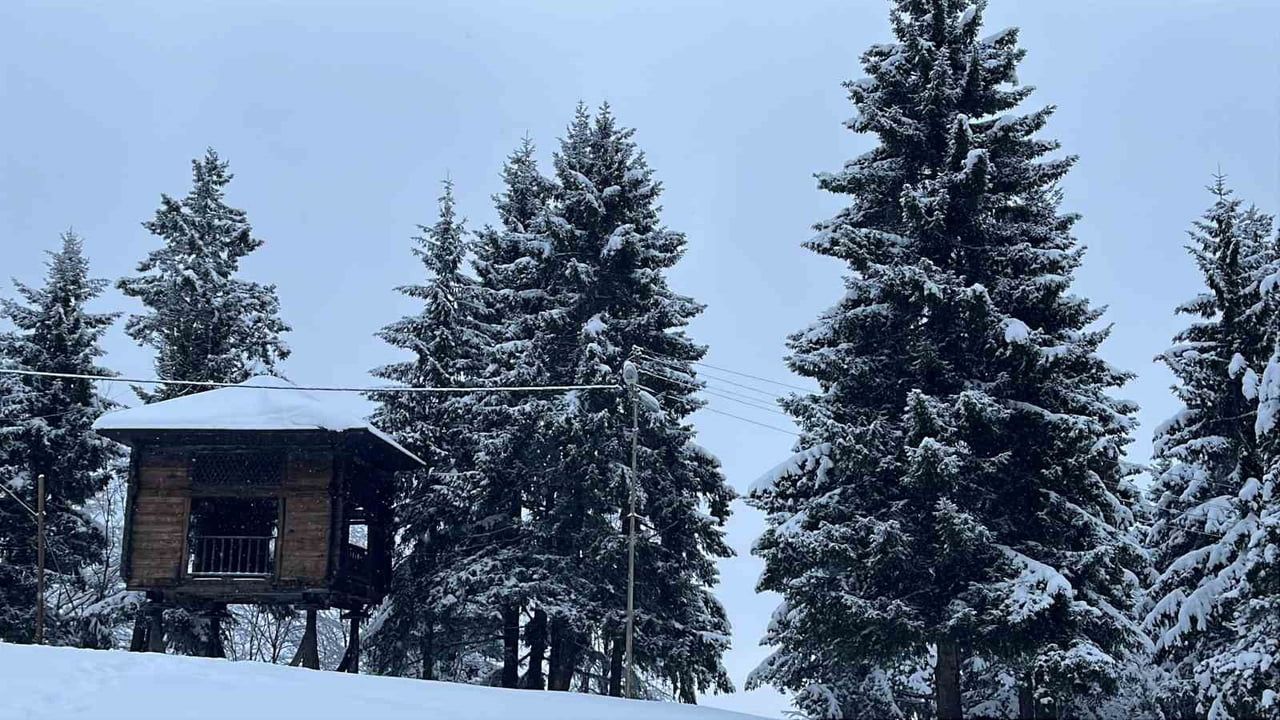 Artvin'de Kafkasör Yaylası Beyaz Örtüyle Sessizliğe Büründü