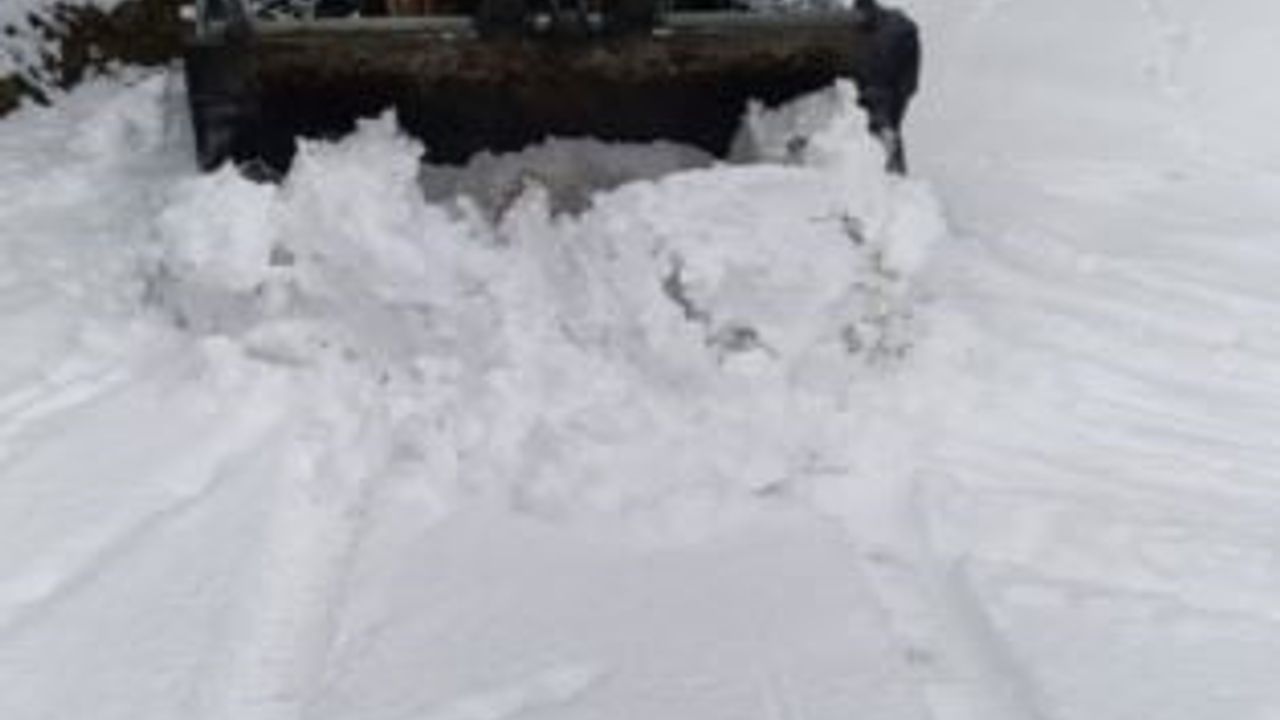 Artvin'de Kar Ulaşıma Engel: 18 Köy Yolu Kapandı