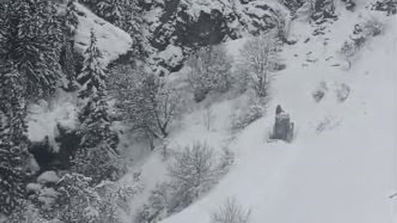 Artvin'de Kar Ulaşımı Vurdu: 120 Köy Yolu Kapalı