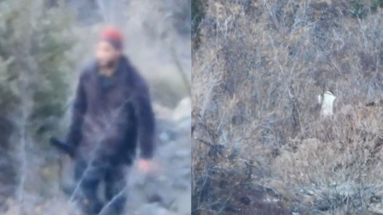 Artvin'de Yasa Dışı Avcılığa Geçit Yok: İbrahim Yumaklı'dan Denetim Açıklaması