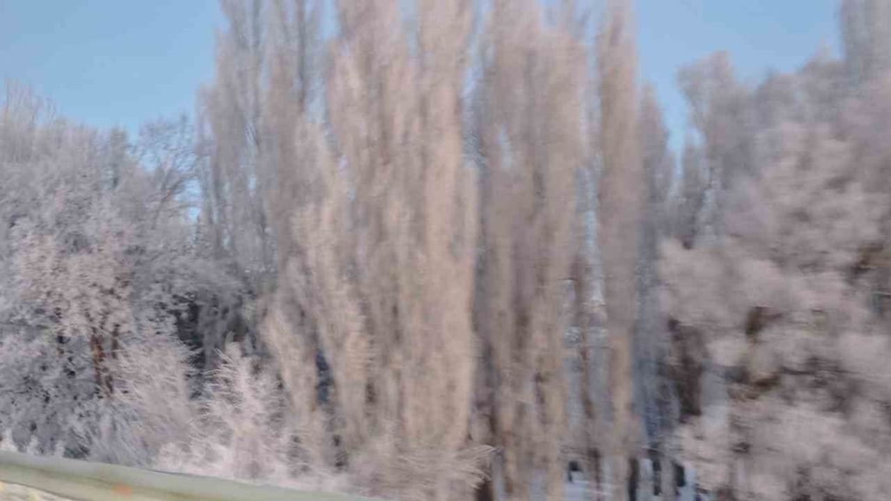 Aşkale'de Sibirya Soğukları: Termometreler -30'u Gördü