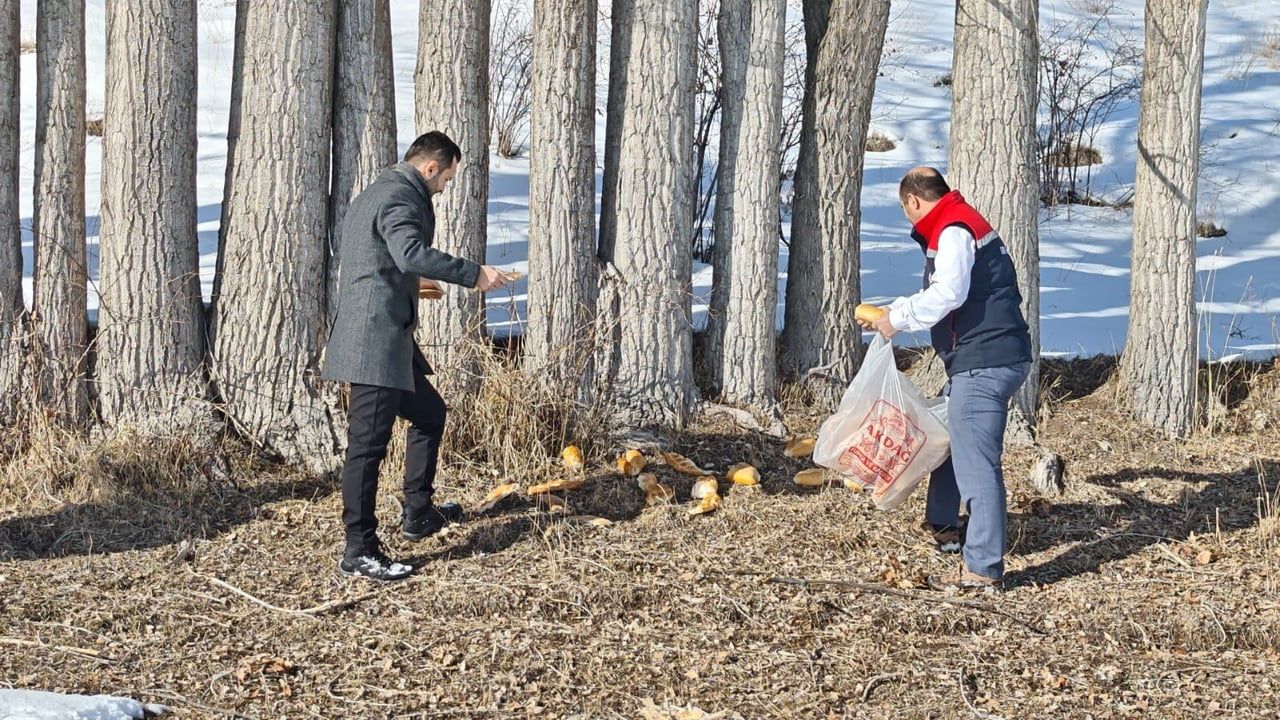 Aşkale'de Yaban Hayatına Kış Desteği: Doğaya Yem Bırakıldı