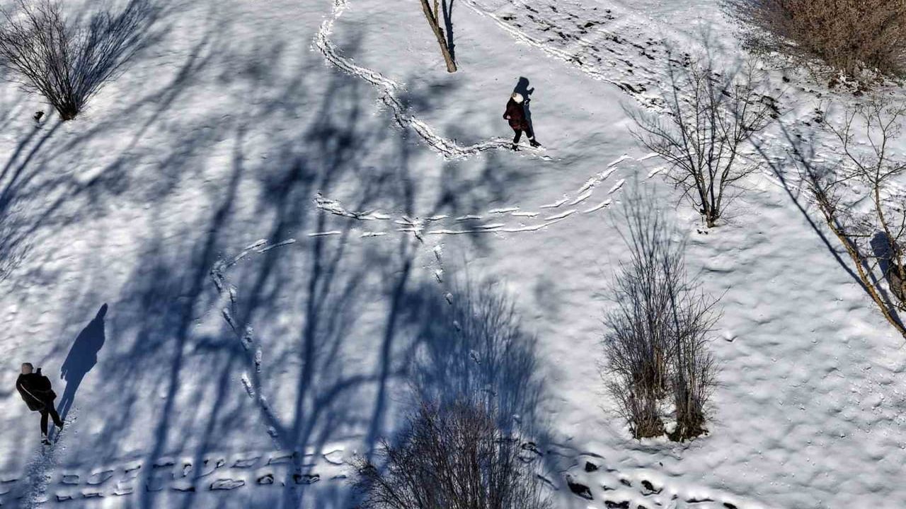 Atatürk Arboretumu'nda Kartpostallık Kar Manzarası