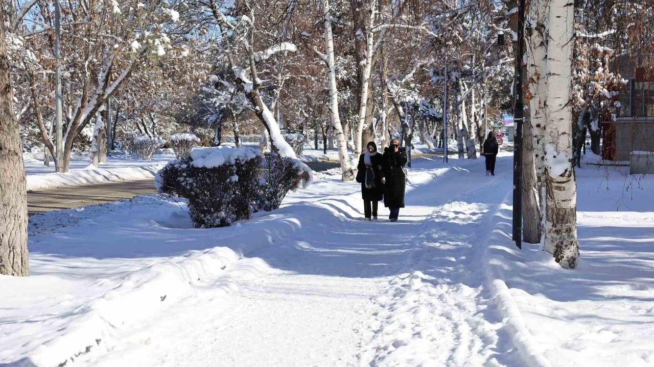 Atatürk Üniversitesi'nde Karla Mücadele 7/24