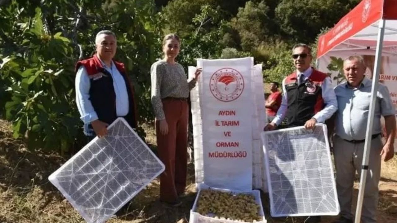 Aydın'da 2025'te 3 bin 600'ü aşkın tarımsal denetim ve 6 milyon 708 bin 774,50 TL ceza