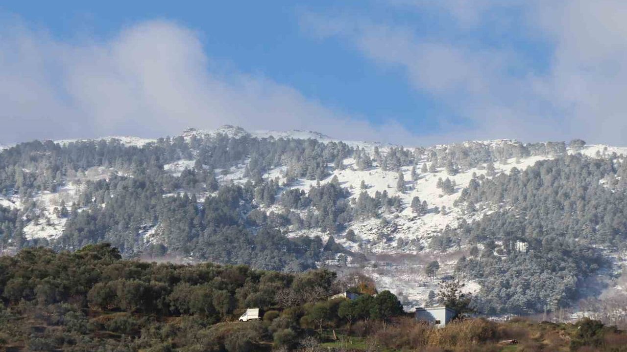Aydın'da Dağlar Beyaza Büründü: Paşayaylası, Madran ve Karıncalı