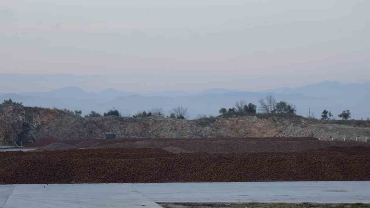 Aydın'da Künar (Çam Fıstığı) İşleme Tesislerinde Yoğun Mesai