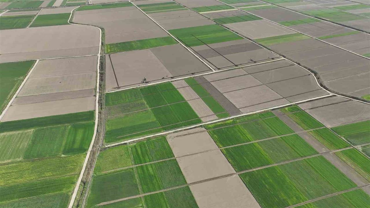 Aydın'da TİGH Projesiyle Tarımsal Verimde En Az Yüzde 20 Artış Hedefleniyor