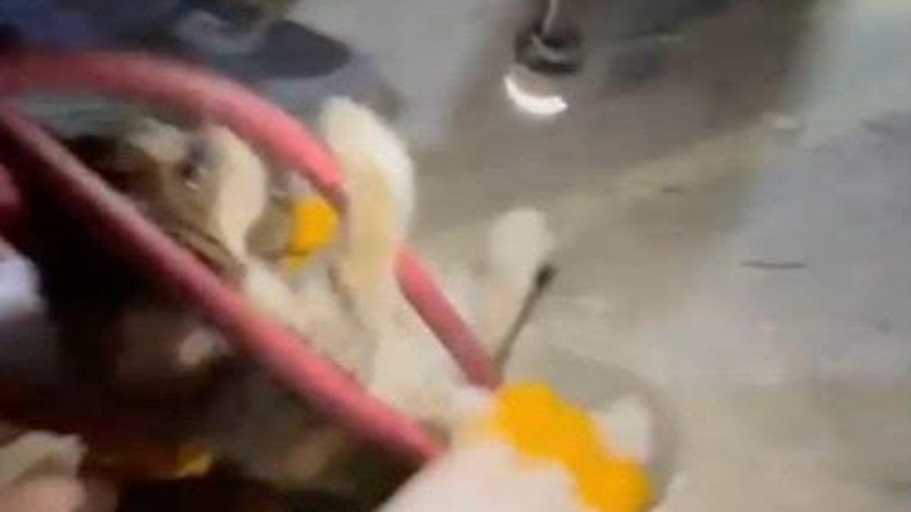 Ayvalık’ta itfaiye su pompası deliğine düşen yavru kediyi kurtardı