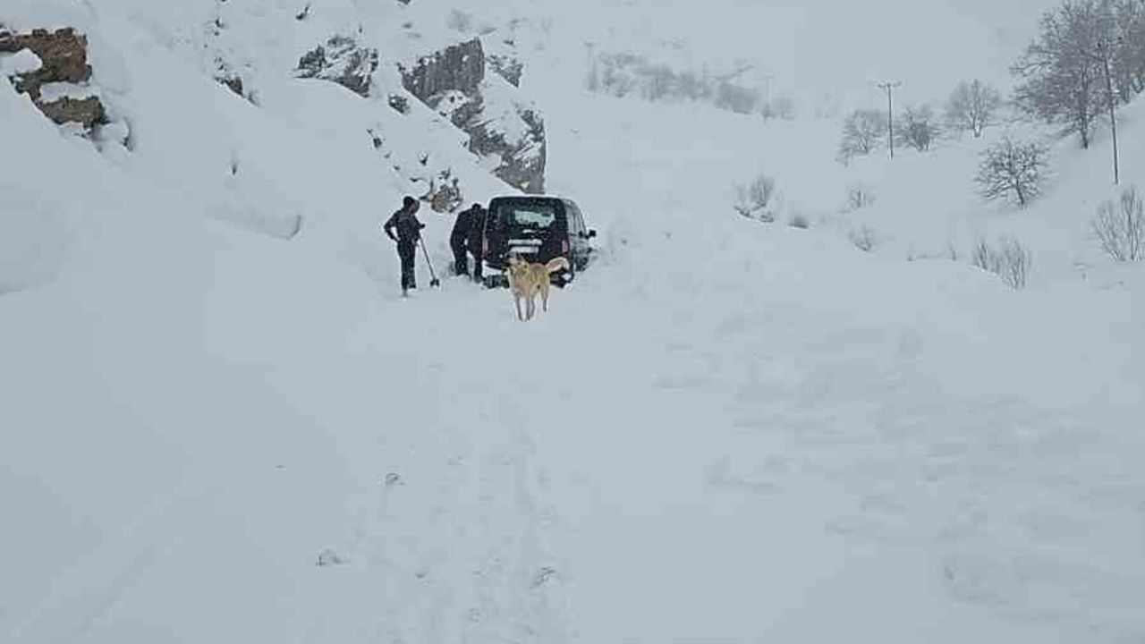 Bahçesaray’da Çığ Faciası Son Anda Önledi: Aile Sağ Kurtuldu
