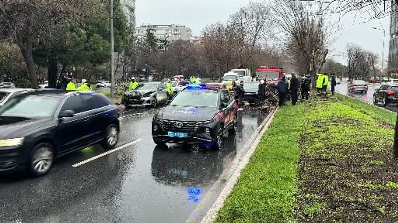 Bakırköy Sahil Yolunda Fırtına Kabusu: Ağaç 4 Aracı Devrildi