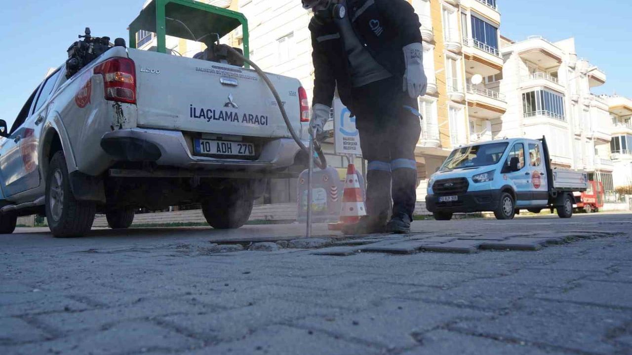 Balıkesir'de Kış Boyu Haşere Mücadelesi: 20 İlçede Kanal Sisleme