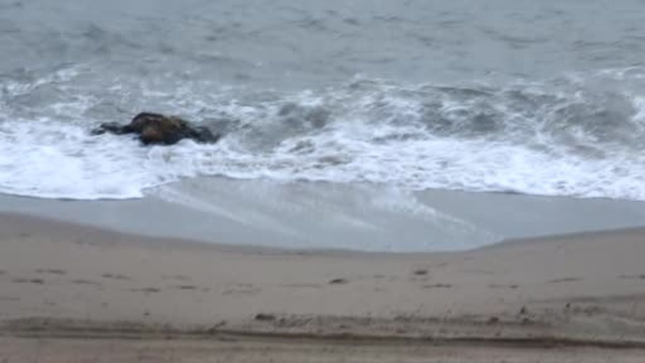 Balıkesir'de Lodos Etkisi: 9 Yük Gemisi Edremit Kö…