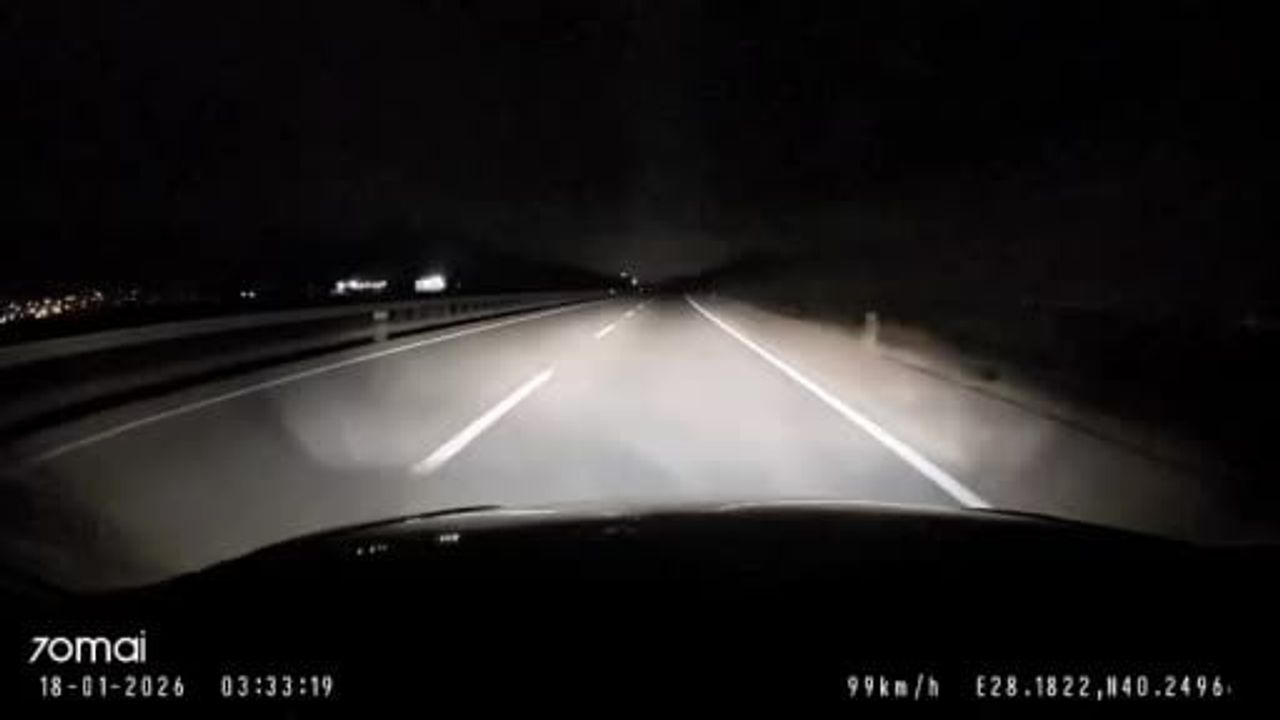 Bandırma-Karacabey'de Tilki Yola Çıktı: Sürücünün Soğukkanlılığı Olası Kazayı Önledi