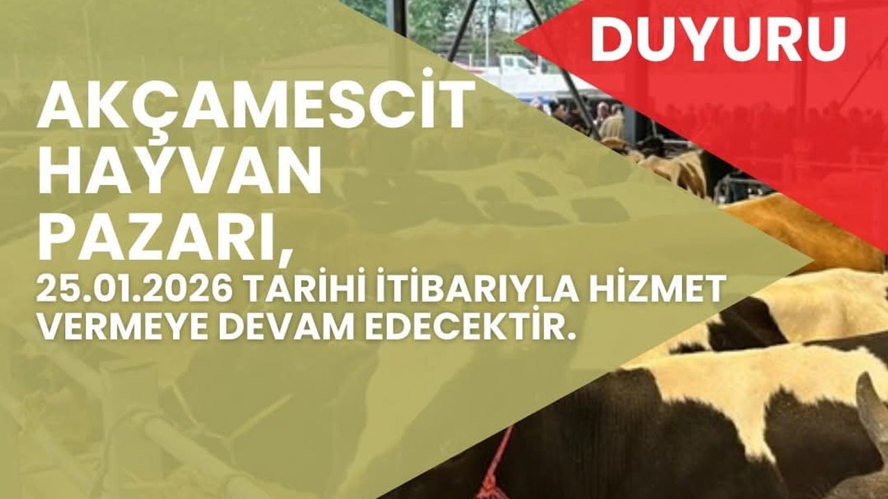 Bartın Akçamescit Hayvan Pazarı 25 Ocak'ta Yeniden Açılıyor
