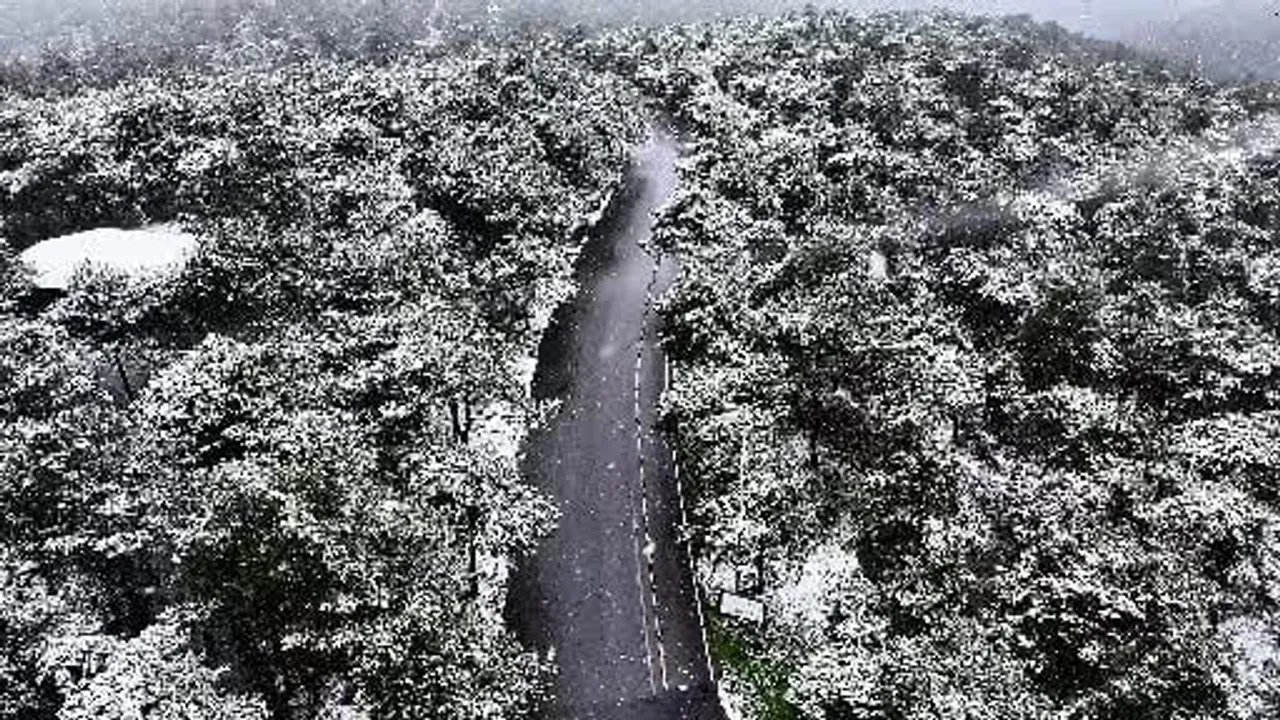Başakşehir Şamlar Tabiat Parkı Beyaza Büründü — Kartpostallık Kar Manzarası