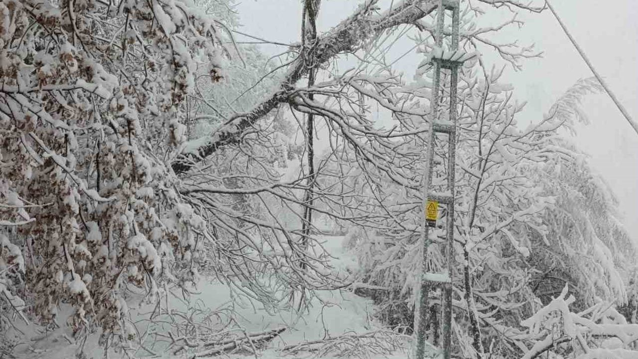 Başkent EDAŞ 7/24 Sahada: Batı Karadeniz'de Enerji Arzı Güvende