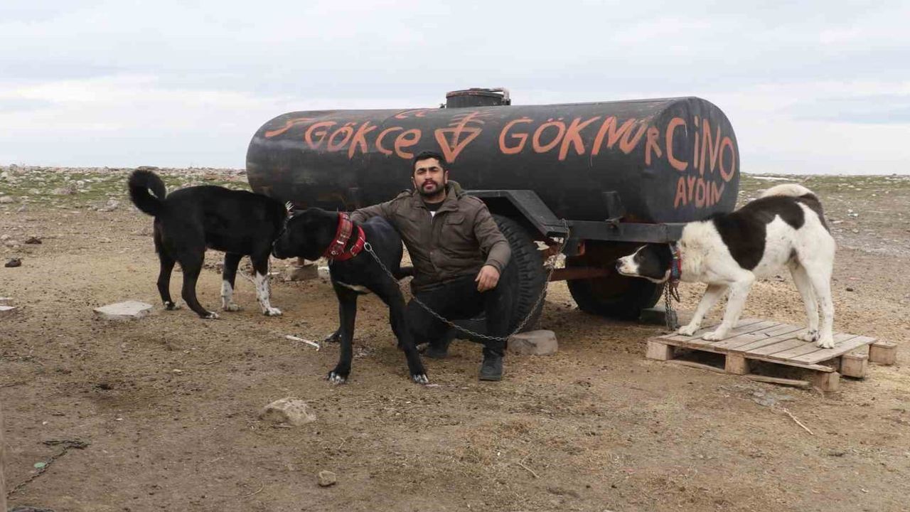 Başkentin Siyah Bekçileri: Haymana Karası