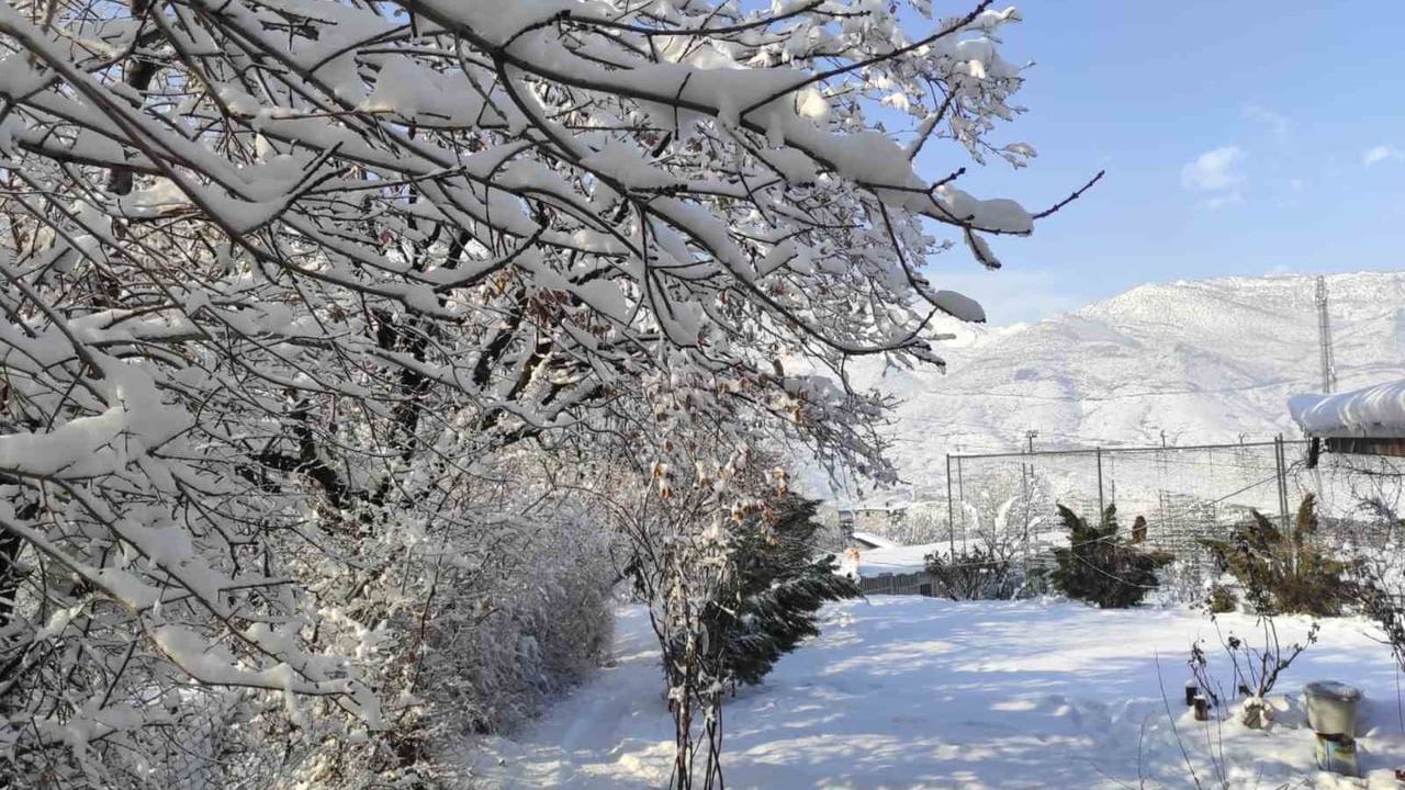 Batman'da Kar Yağışı: Köy Yolları Kapandı, Ormanlar Beyaza Büründü