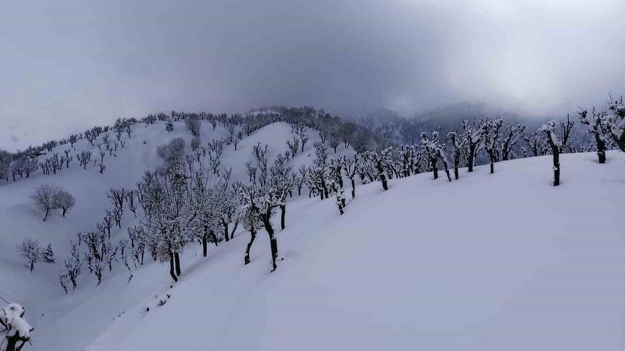 Batman'da kırsalda kar 1 metreyi aştı: Köy ve mezra yolları kapandı