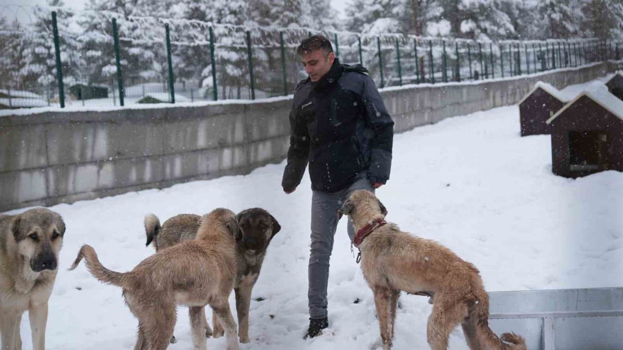 Battalgazi'de Malatya'nın İkinci Hayvan Barınağı Hizmete Açıldı