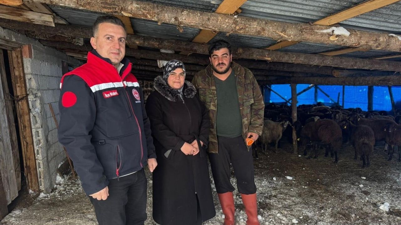 Bayburt’ta Hayvancılık Desteği Sürüyor: ‘Köyümde Yaşamak İçin Bir Sürü Nedenim Var’ ile 100 Küçükbaş