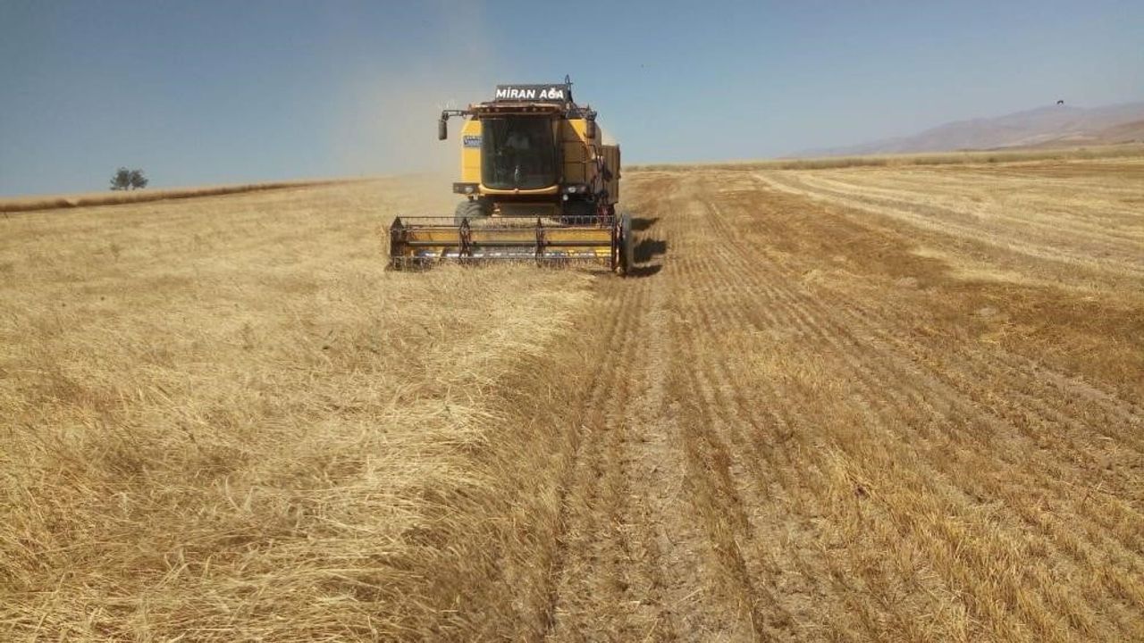 Bayburt’ta TMO Yemlik Arpa Satışı — Başvuru 12 Ocak 2026