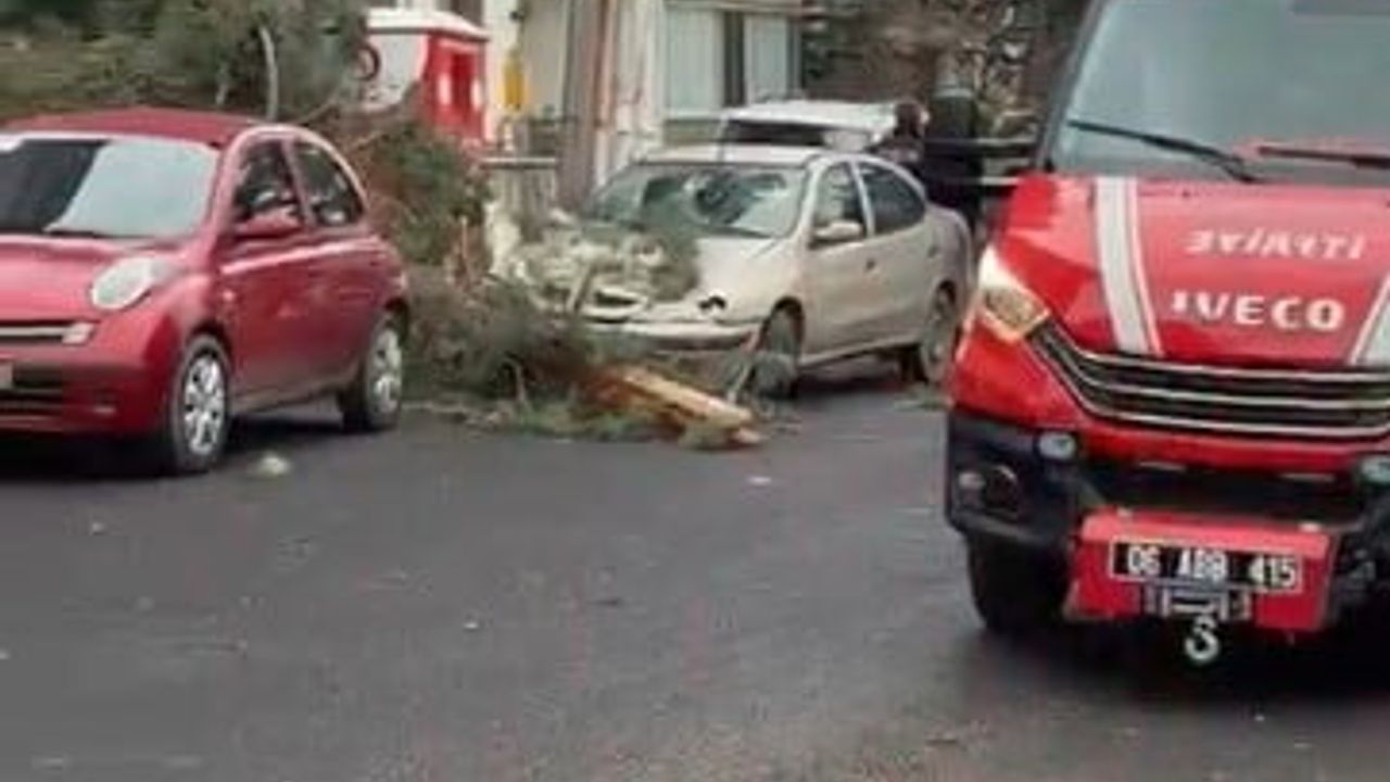 Beypazarı'nda Fırtına: Ağaç Park Halindeki Otomobile Devrildi