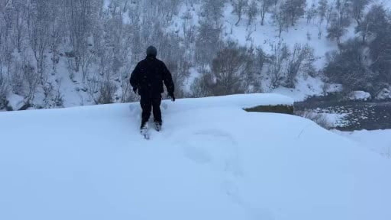 Beytüşşebap'ta 12 Köpek Yavrusu Donmaktan Kurtarıldı