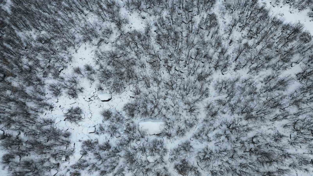 Beytüşşebap’ta Meşe Ormanları Yoğun Karla Beyaza Büründü