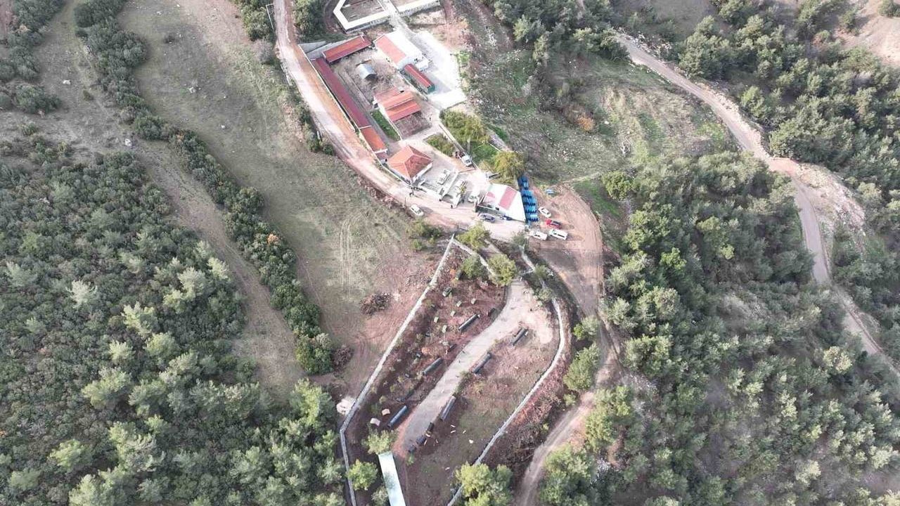 Bilecik Belediyesi’nden Can Dostlara 2025’te Kesintisiz Destek