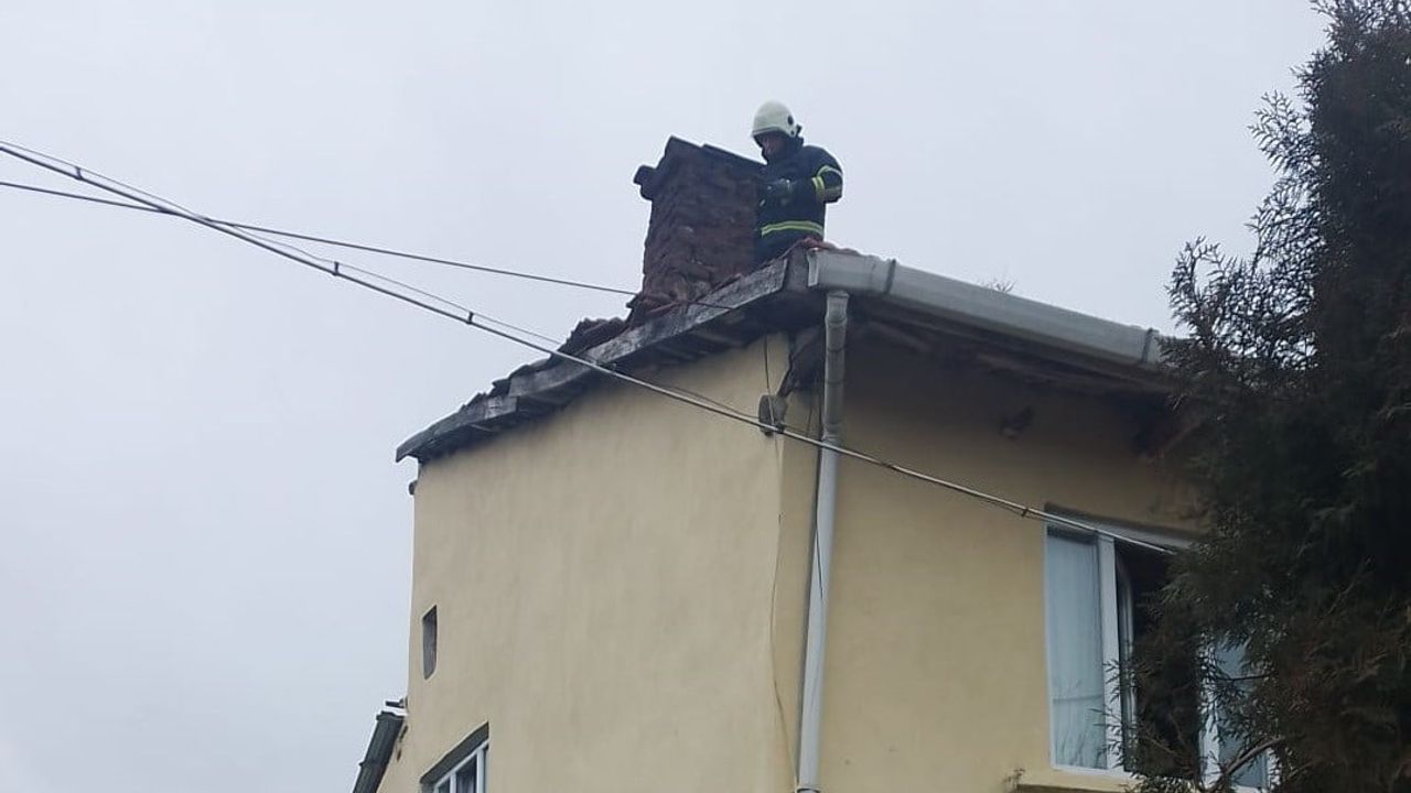 Bilecik Kurtköy'de Baca Yangını İtfaiyenin Müdahalesiyle Söndürüldü