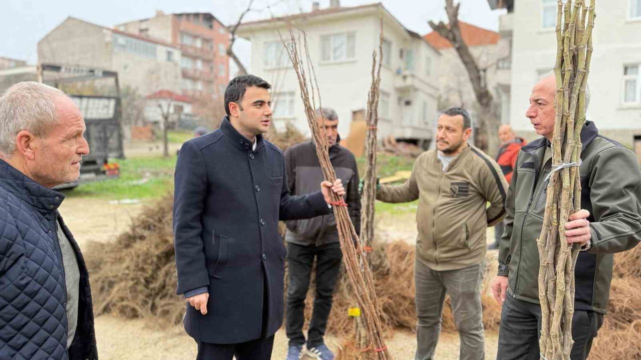 Bilecik Osmaneli’de Çiftçilere Meyve Fidanı Desteği
