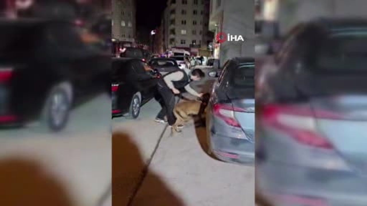 Bilecik'te çadırda saklanan 220,52 gram Skunk ele geçirildi