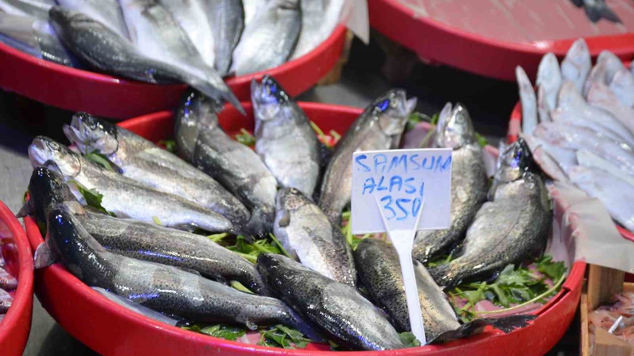 Bilecik’te Palamut Yerini Karadeniz Hamsisine Bıraktı