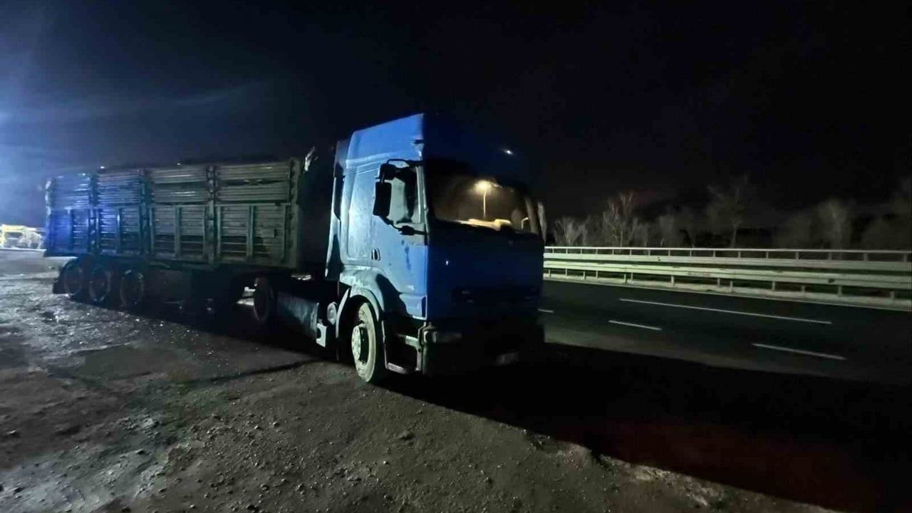 Bilecik'te Talaş Yüklü Tırın Dorsesi Alev Aldı