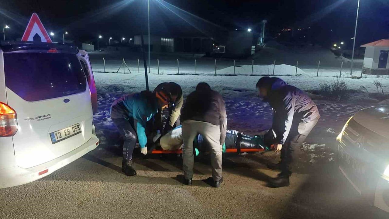 Bingöl'de Otomobil Domuz Sürüsüne Çarptı: 3 Yaralı