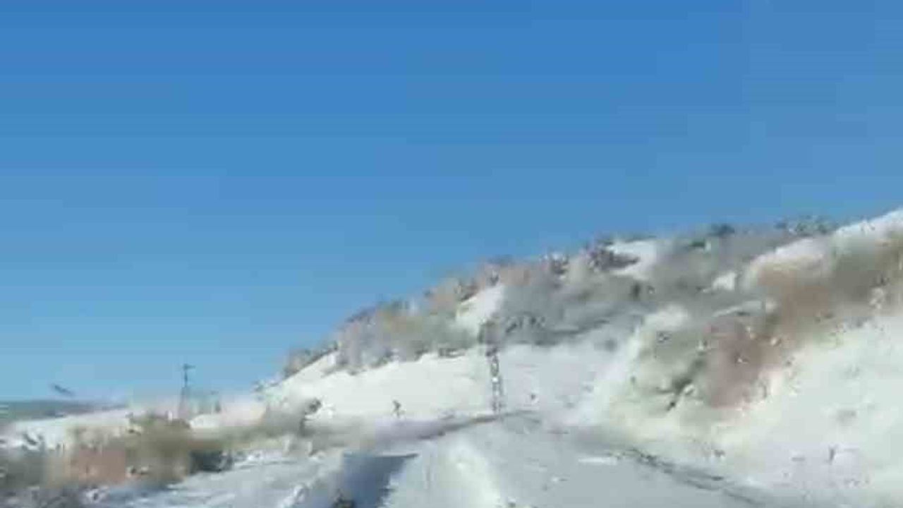 Bingöl'de UMKE'ye Kurt Eşlik Etti — Hasta Nakli Sırasında Sıradışı Anlar