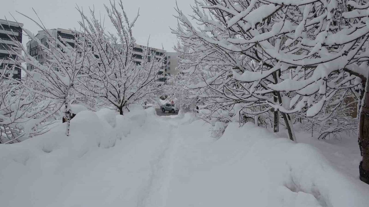Bitlis'te Kar Yağışı 111 Köy Yolunu Kapattı