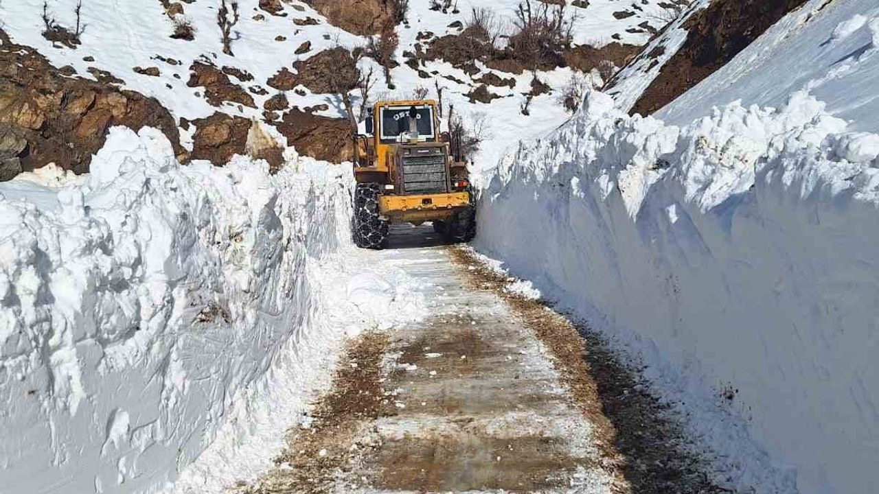 Bitlis’te Karla Mücadele 7/24: Ulaşım İçin Ekipler Seferber