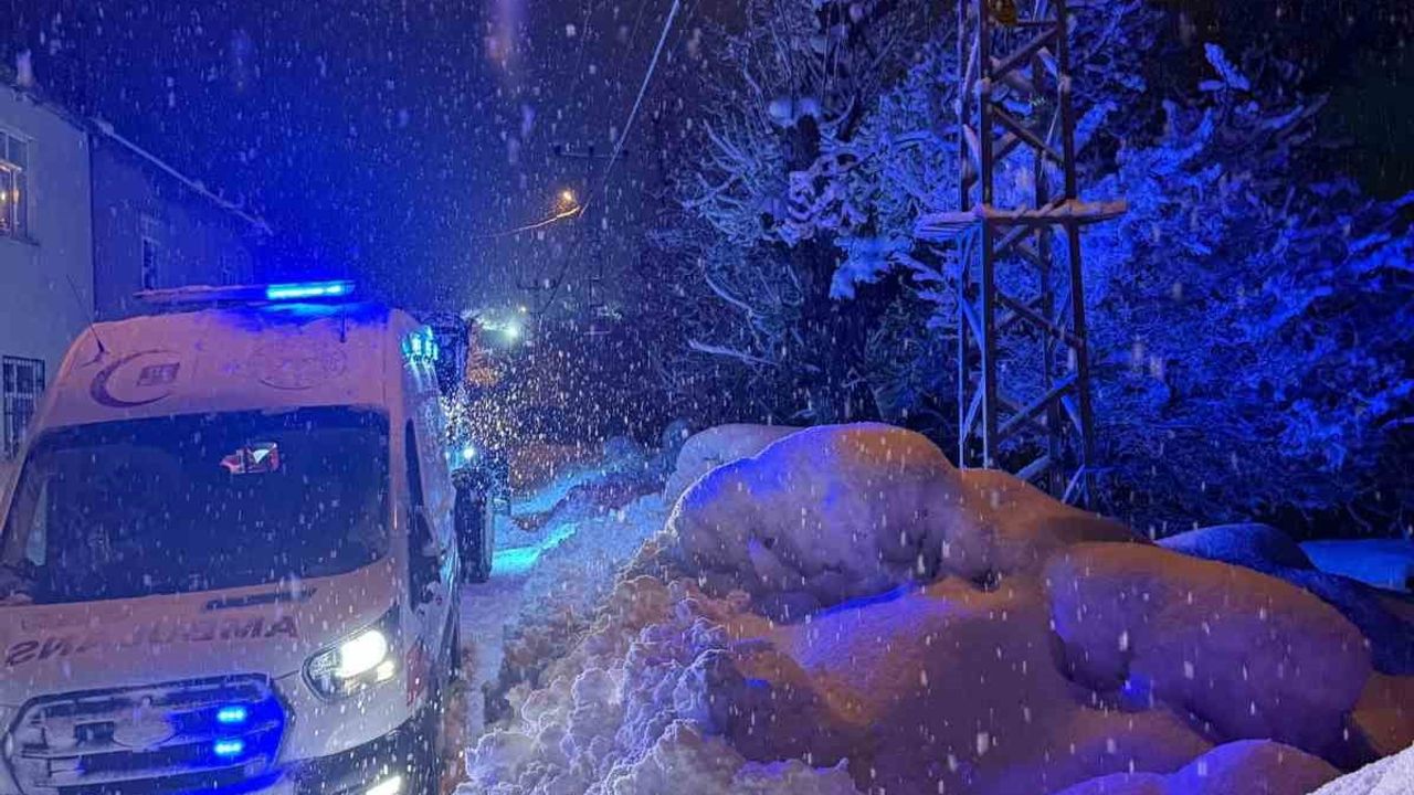 Bitlis'te Karla Mücadele Ekipleri Çeltikli'de Rahatsızlanan Vatandaşı Hastaneye Ulaştırdı