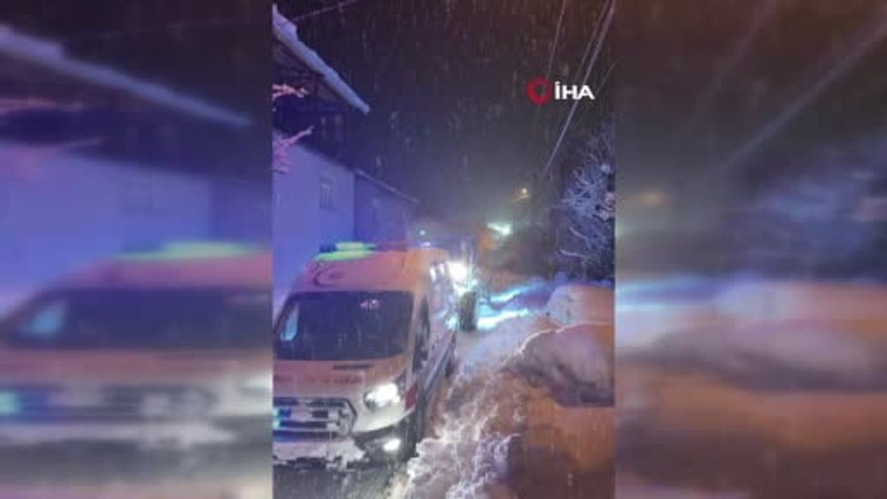 Bitlis'te Karla Mücadele Ekiplerinden Çeltikli'de Kritik Kurtarma