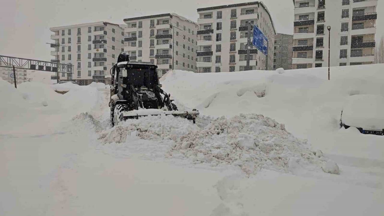 Bitlis'te Yoğun Kar: Tek Katlı Evler Kayboldu, 314 Köy Yolu Ulaşıma Kapandı
