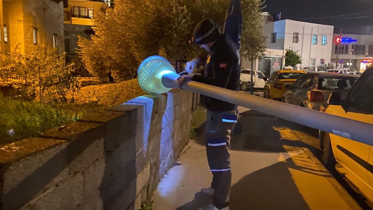 Bodrum'da Kent Estetiği Yenileniyor: Destek Hizmetleri 2025 Çalışmaları